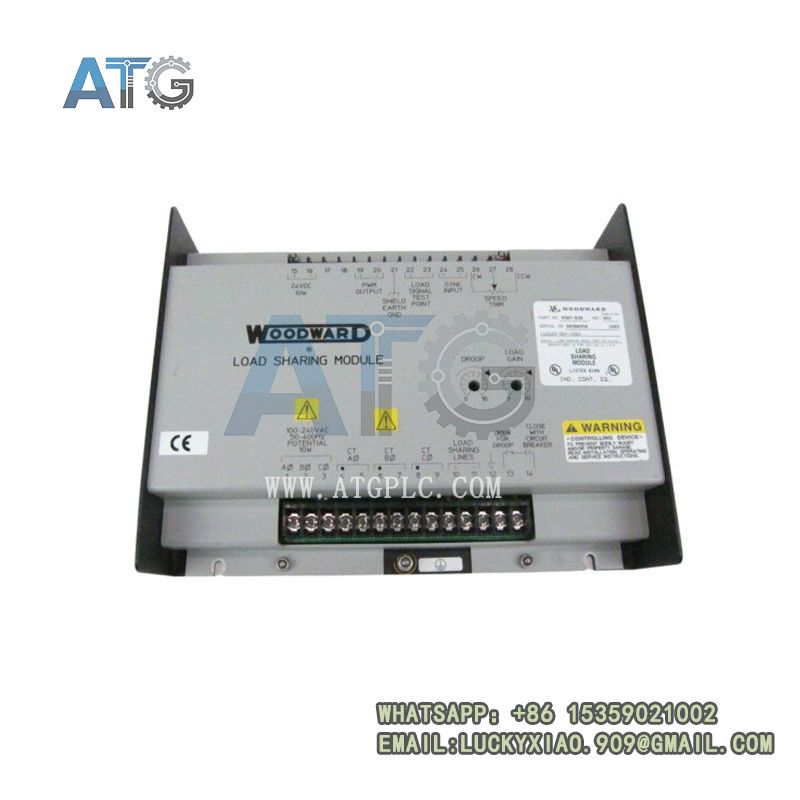 woodward 9907-838